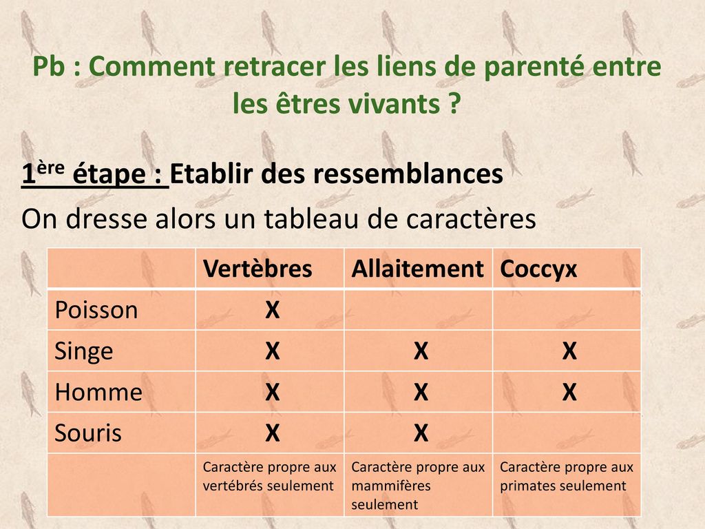 Rappels de sixi me La classification en ensembles embo t s est une